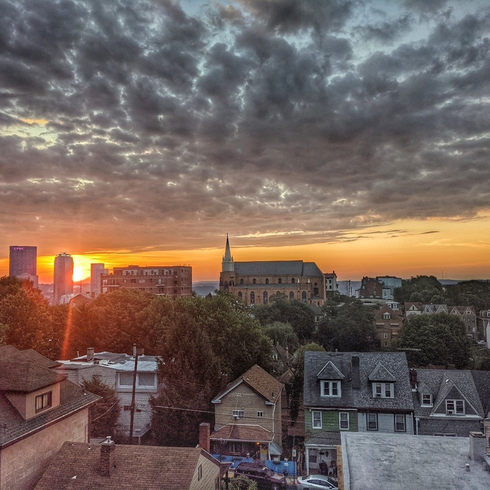 Meet your Posher, Darrell